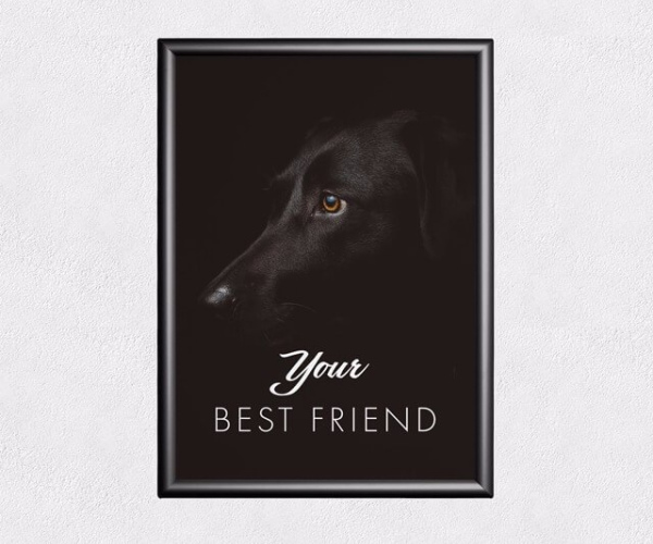 Black Dog